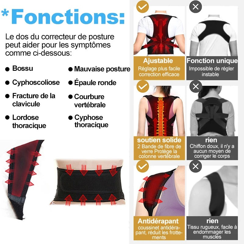 Back support belt - ceinture de soutien du dos
