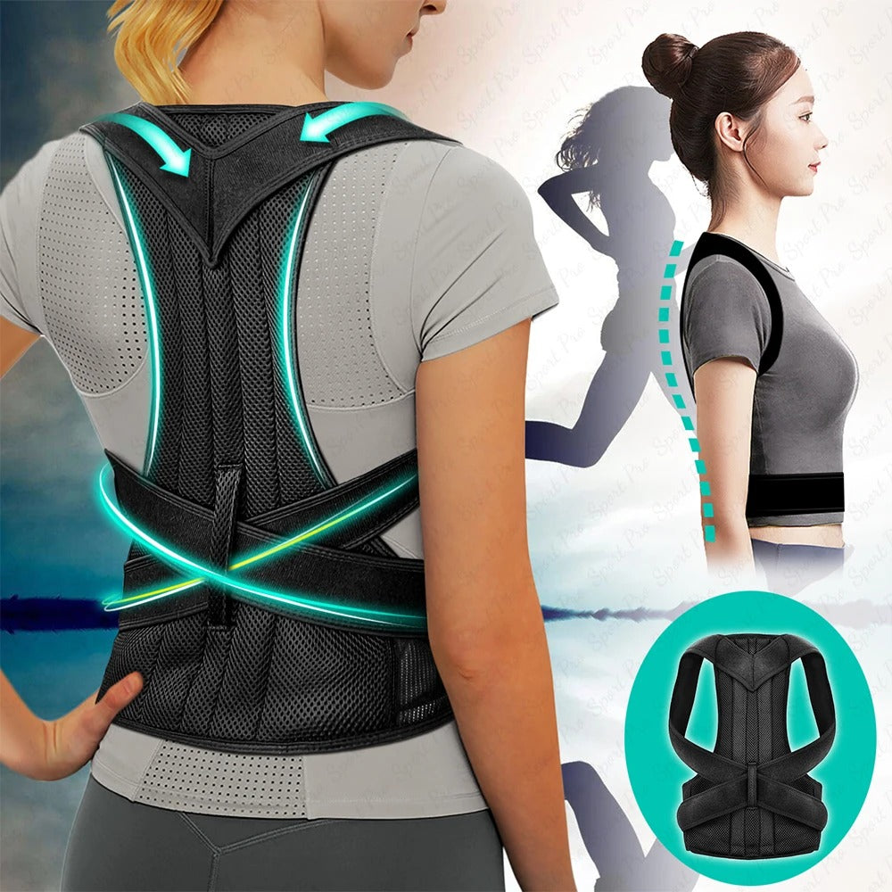 Back support belt - ceinture de soutien du dos