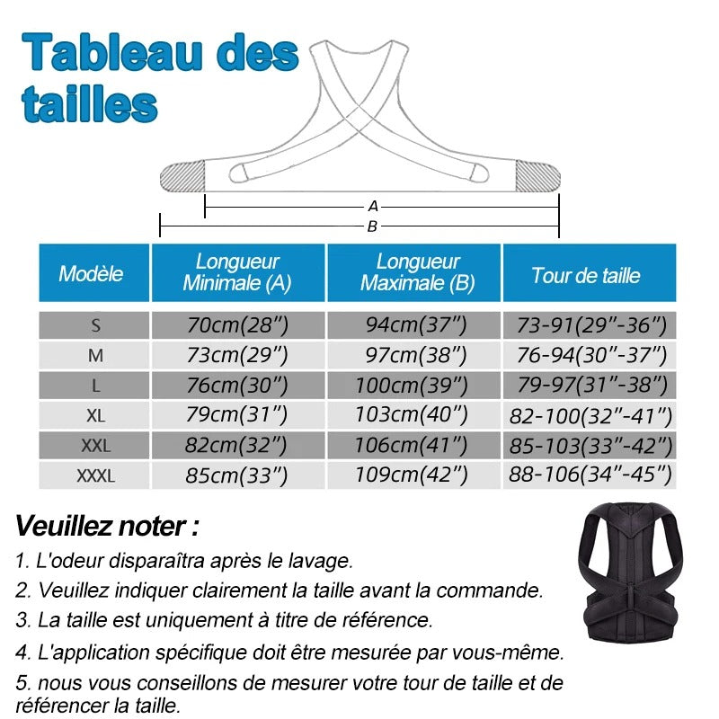 Back support belt - ceinture de soutien du dos
