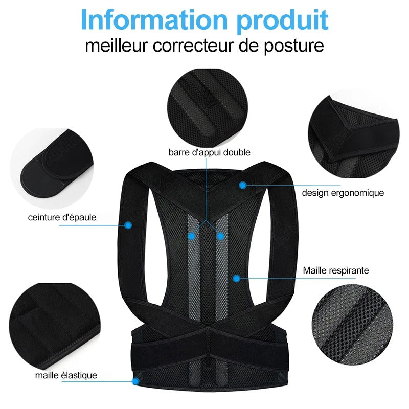 Back support belt - ceinture de soutien du dos