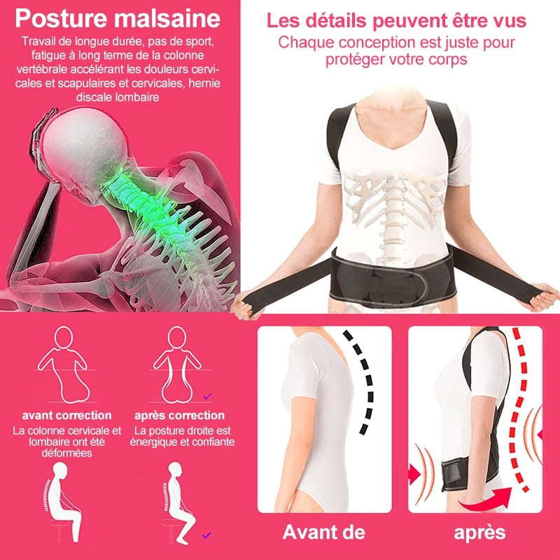 Back support belt - ceinture de soutien du dos