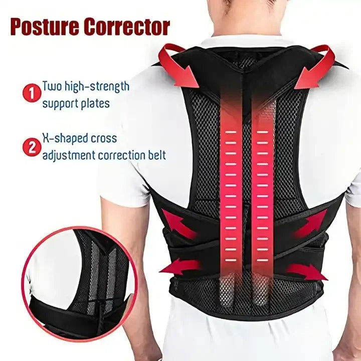 Back support belt - ceinture de soutien du dos