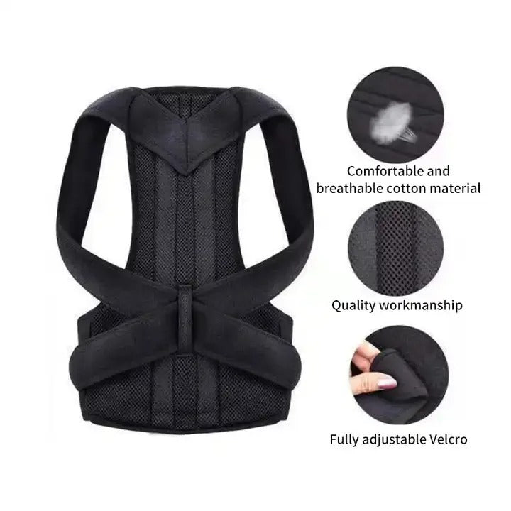 Back support belt - ceinture de soutien du dos