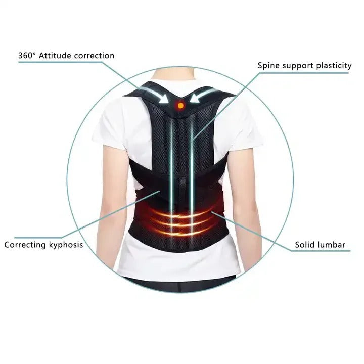 Back support belt - ceinture de soutien du dos